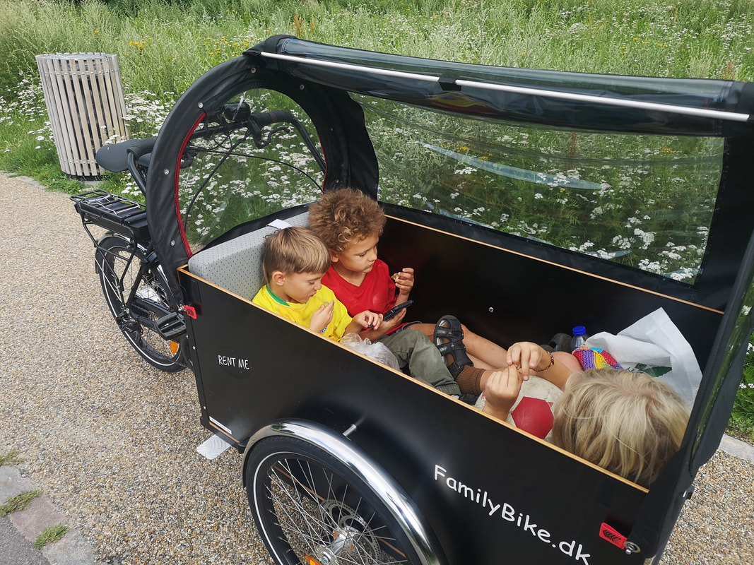 Cargo bike for 3 children